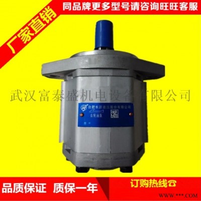 合肥长源液压齿轮泵CBT-550-平左法兰