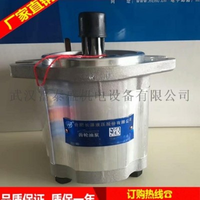 合肥长源液压齿轮泵CBHT-F316-扁右法兰