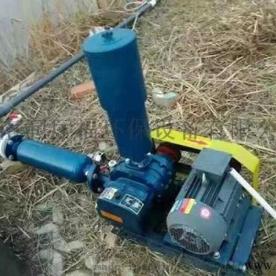 水产养殖三叶罗茨风机罗茨增氧机