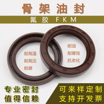 耐高温FKM氟胶双唇TC骨架油封 旋转油封 耐油耐腐蚀