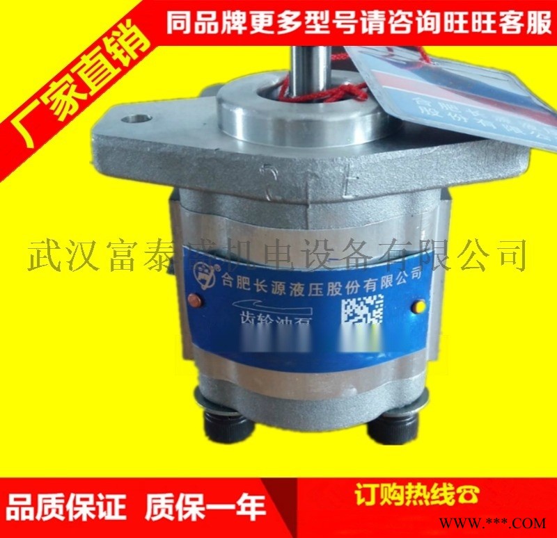 合肥长源液压齿轮泵齿轮泵(法兰)CBT-F430-AF∮十右图1