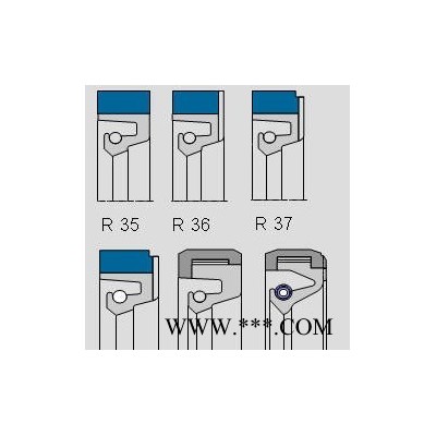 德国CFW品牌R35和R37型无骨架软油封