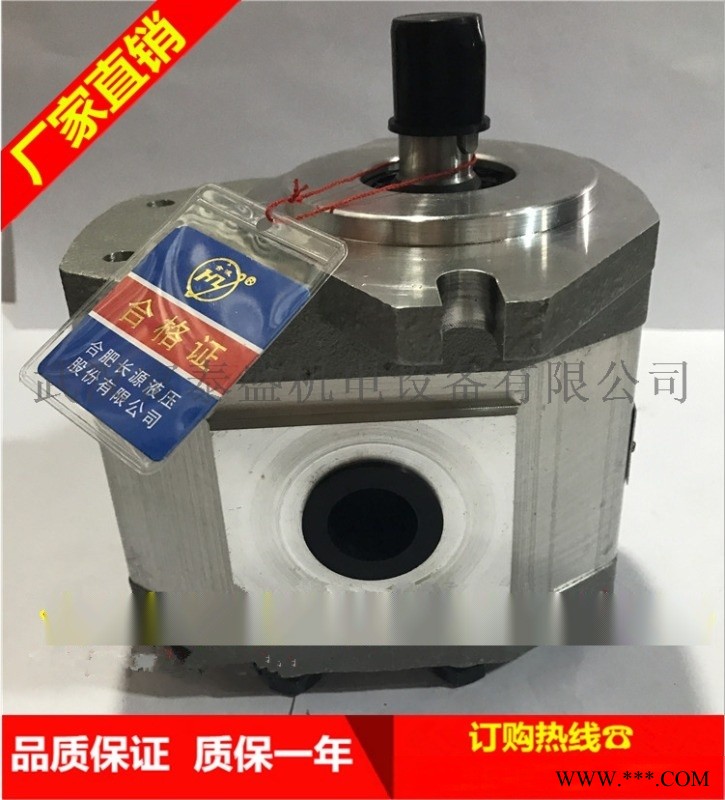 合肥长源液压齿轮泵CBHT-F2516-CFZ(右法兰)图1