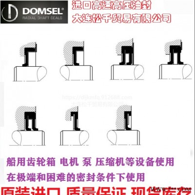 瑞士DOMSEL旋转油封