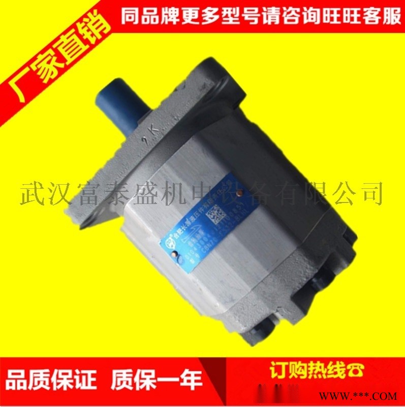 合肥长源液压齿轮泵CBHT-F2518-CFZL(左法兰)图1