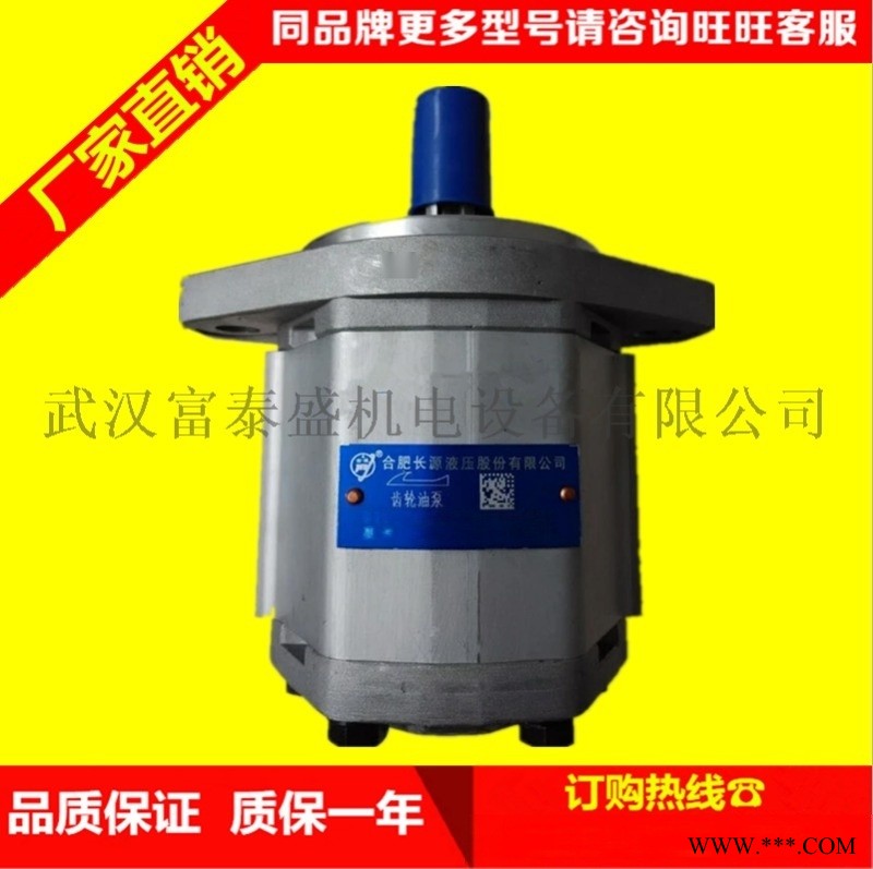 合肥长源液压齿轮泵侧进后出齿轮泵CBW/FA-E425-花左（法兰）齿轮泵图1