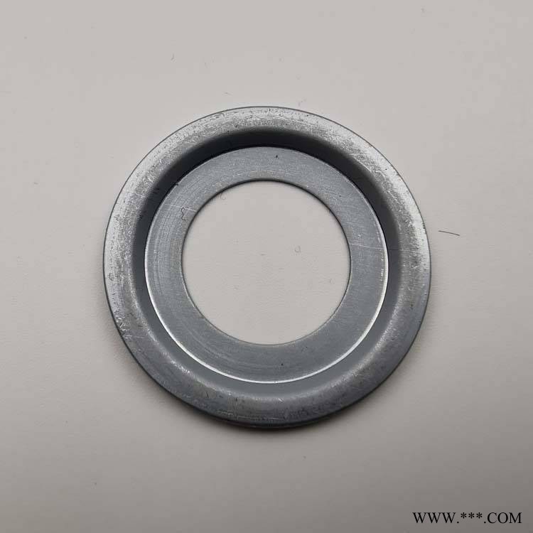 6313ZAV 德国进口 NILOS 油封 6313ZAV 金属挡圈图1