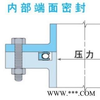 厂家加工 端面内向泛塞圈SVDE 内向泛塞密封 张力内向泛塞圈 PEEK泛塞圈 UPE泛塞圈用途 旋转油封作用图1