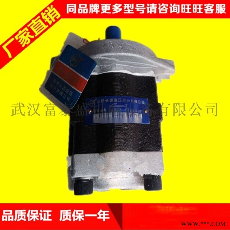 CBHT-F2518-CFZL(左法兰)齿轮泵图1