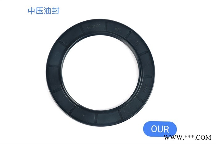 江北区直销高压油封 来电咨询 宁波欧瑞密封件供应图1