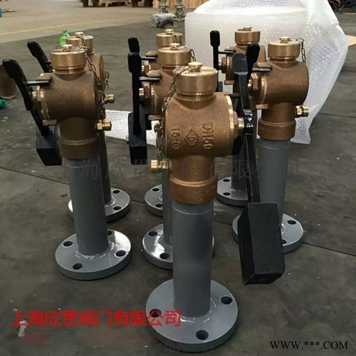 测深自闭阀含法兰接管图1