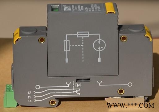 ZH-F-MS25-PVT/FM击穿保护器图1