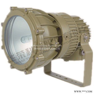 上海华荣HRT51 系列防爆投光灯承接不锈钢保护器钣金加工可定制