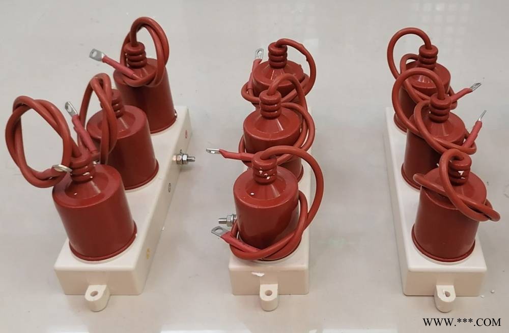 过电压保护器，众邦复合式过电压保护器图1