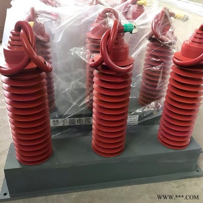 东电程控 DBP组合式过电压保护器 变压器保护器 可定制