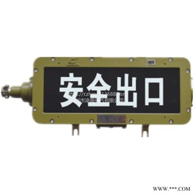 上海华荣DGS9-127L(A)矿用隔爆型标志灯承接不锈钢保护器钣金加工可定制