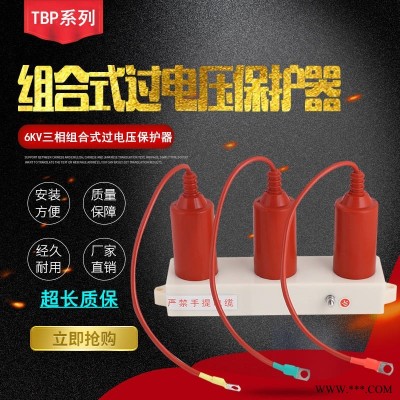 三相组合式过电压保护器 TBP-A-B-C-D-Z-7.6/131 6KV组合式过电压保护器 6KV组合式高压避雷器