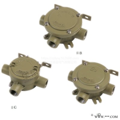 上海华荣BHD52 系列防爆吊灯盒承接不锈钢保护器钣金加工可定制