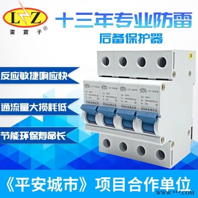 雷震子电源后备保护器LZZ-SCB/60浪涌保护器