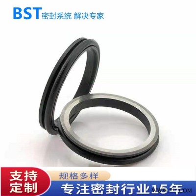 车氏密封TB3-I活塞杆用齿形滑环式组合密封/耐高压耐磨损耐腐蚀