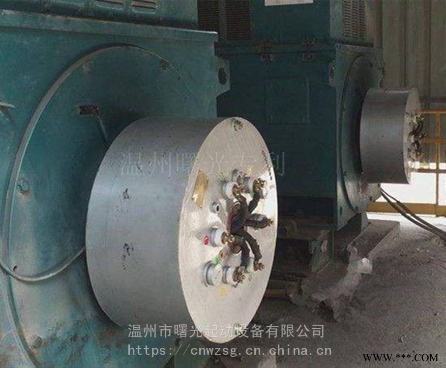 滑环电机WSQ3无刷无环器动器生产厂家图1