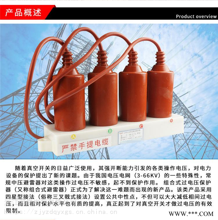 组合式避雷器/过电压保护器HY5WR-10/272图1