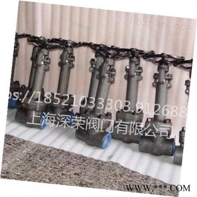 上海深荣 锻钢低温截止阀 进口锻钢截止阀  锻钢焊接 截止阀   碳钢焊接截止阀 碳钢硬密封截止阀可非标定制