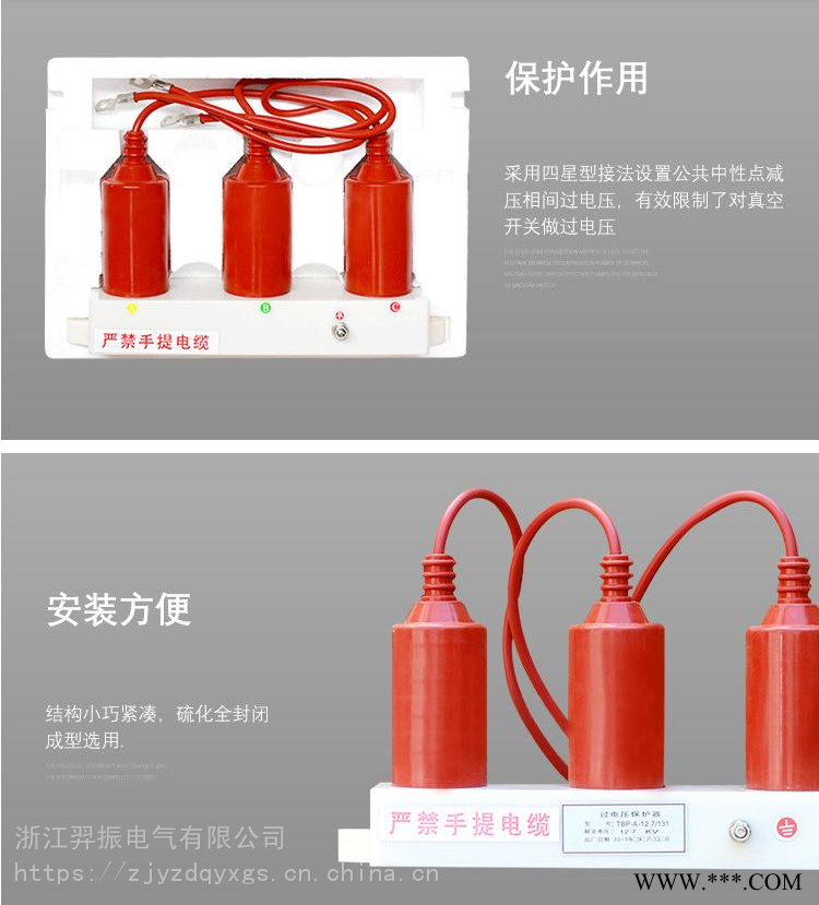 组合式避雷器/过电压保护器TBP-C-35/F图1