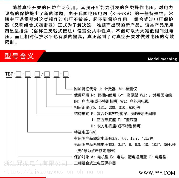 组合式避雷器/过电压保护器TBP-B-63/85-J图1