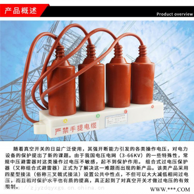 SKB-B-127/400组合式过电压保护器