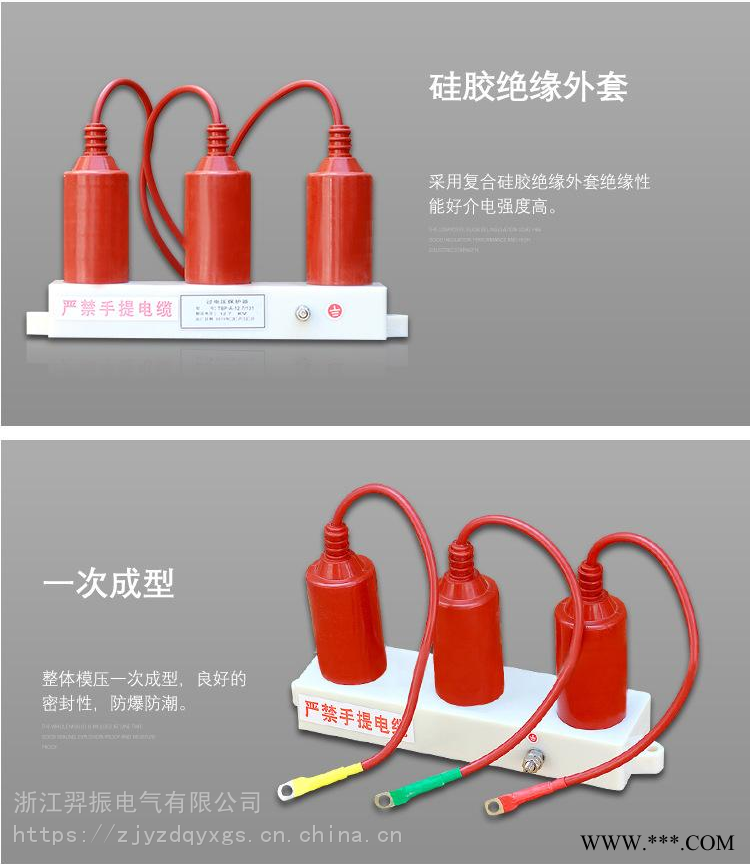 HTBP-A-76/600组合式过电压保护器图1