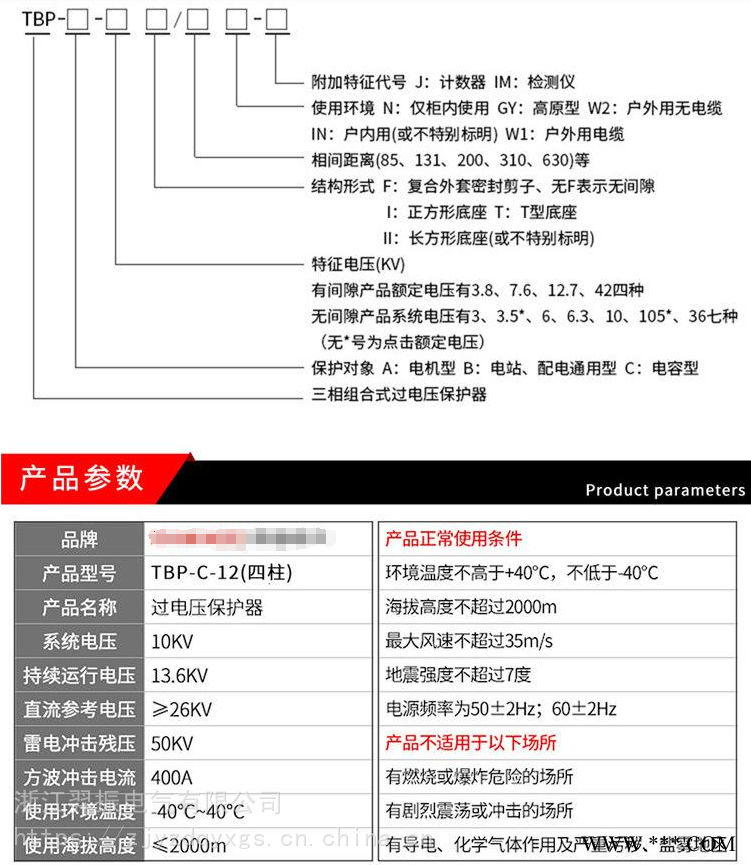 BSTG-C-17/600组合式避雷器/过电压保护器图1
