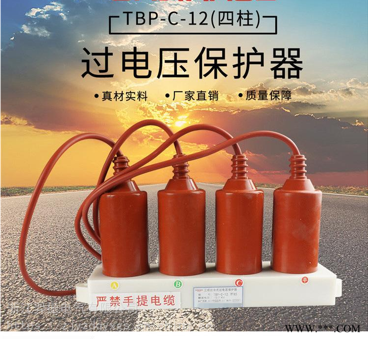 组合式避雷器/过电压保护器YH5WS-17/5017/50图1