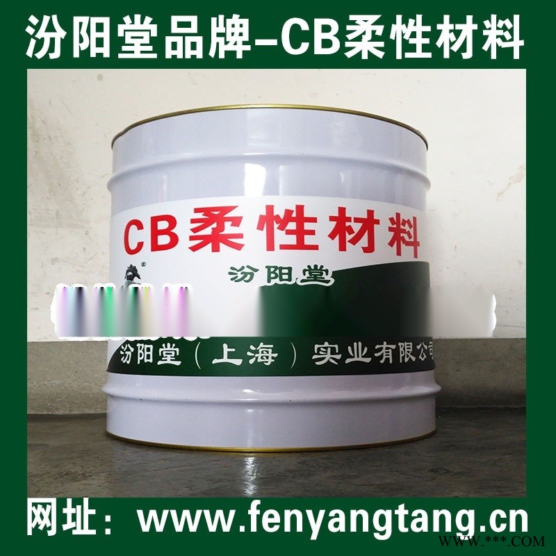 CB柔性防水防腐材料、cb柔性材料用于钢架桥梁防水图1