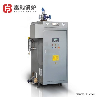 电蒸汽发生器小型锅炉 不锈钢材质全自动蒸汽发生器