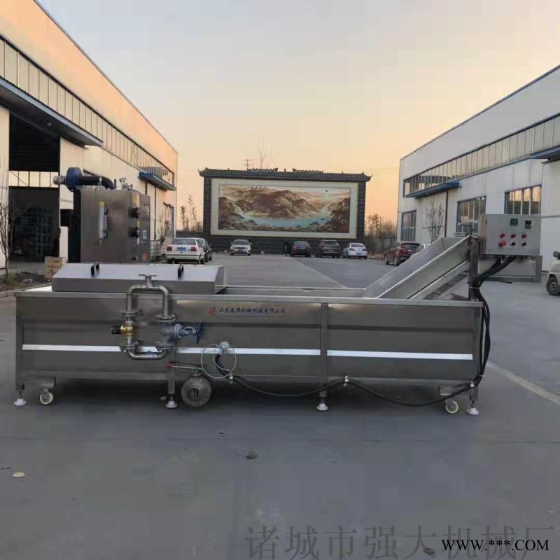 不锈钢材质漂烫机 板带式漂烫机图1
