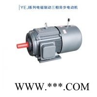 变频电机，高效电机，制动电机，防爆电机，高压电机图1