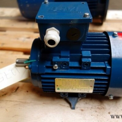 BEVI 3SIEL 100L-4B电机