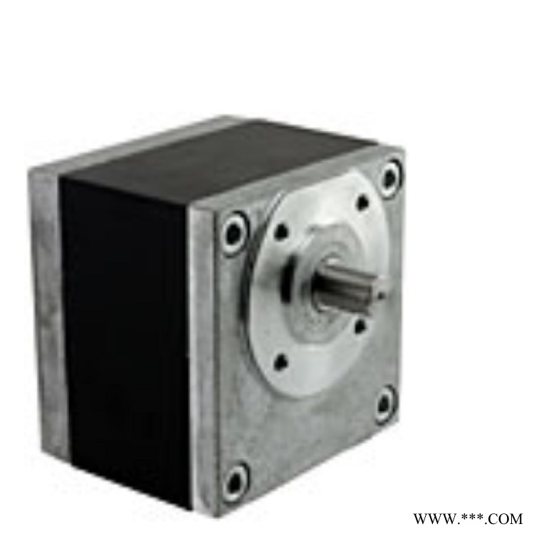 Gefeg Neckar PC 63 带集成 CANopen 接口的直流电机图1