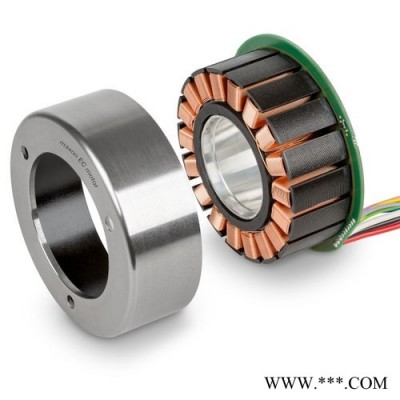 Maxon motor伺服放大器电机系列产品供应