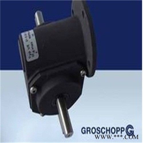 GROSCHOPP直流电机图1