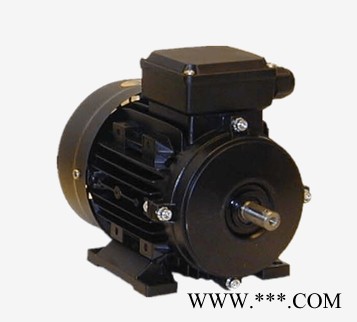 ELEKTRO BROUX电机50Hz, 1370 rpm, 0.37KW图1