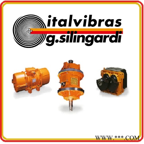 原装意大利进口 ITALVIBRAS 电机602575 MVSI 075/250-S02 30图1