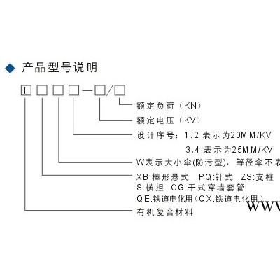 FYTX-10/100绝缘子