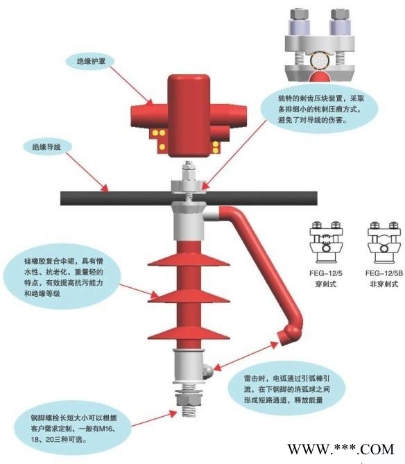 防雷针式支柱绝缘子FEG图1