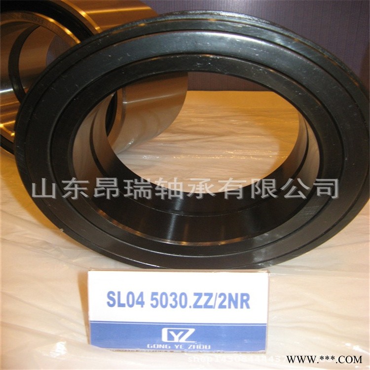 SL04 5030ZZ/2NR     SL系列满滚子轴承  SL04 5028ZZ/2NR图1