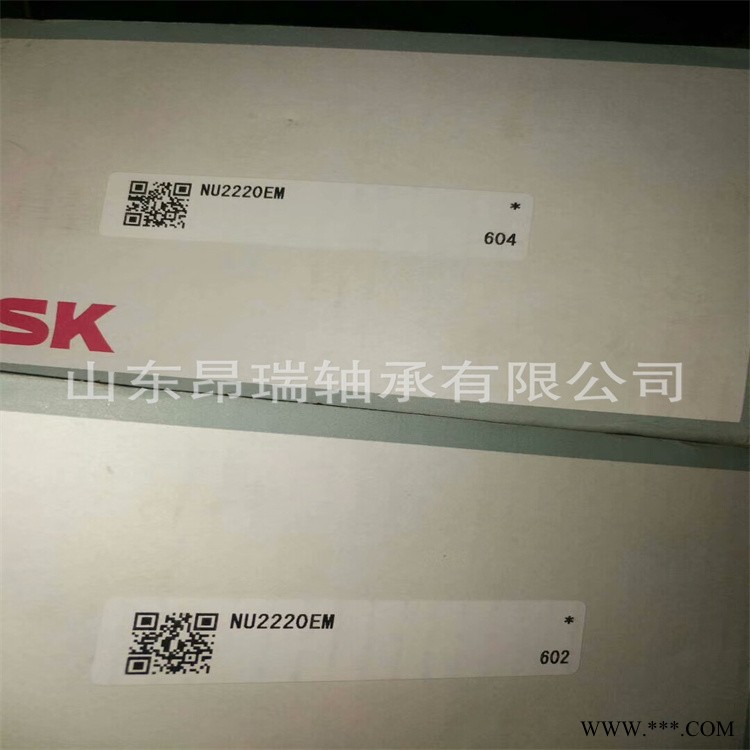 日本 NSK 进口  NU2220EM  圆柱滚子轴承图1