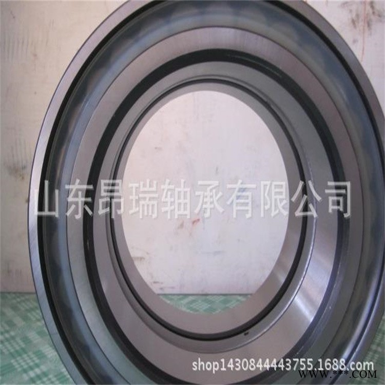 SL01  4838    SL系列满滚子轴承     SL01 4836图1