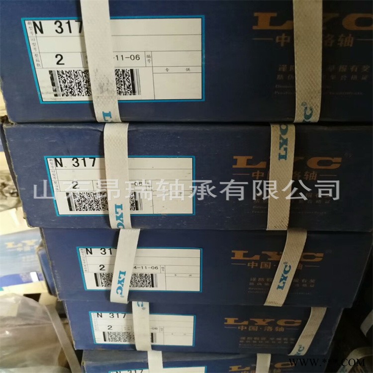 LYC洛阳轴承 N317  圆柱滚子轴承  N318 N319  N320图1