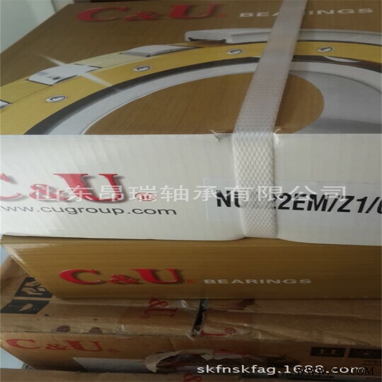 人本轴承 NU222EM/Z1/C3    圆柱滚子轴承 NU220EM/Z1/C3图1